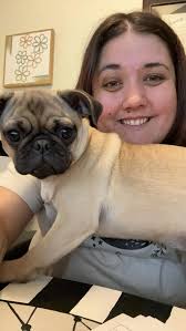 Hi everyone! This is my new-ish little heathen!! Her name is Phoebe 🥰 I've  had her for just over a month now and although she is constant chaos (her  nickname is crackie