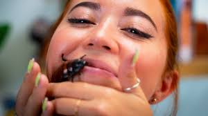 click to cure your fear of bugs