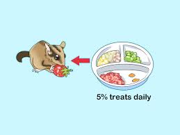 Sugar gliders may not drink very much, since they tend to get most of their water from the food they eat. How To Feed A Sugar Glider 15 Steps With Pictures Wikihow