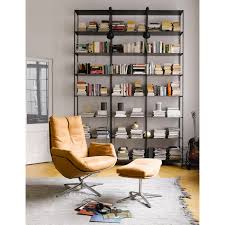 Image result for Cordia stuhlmannii