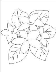 Contoh mewarnai gambar sketsa bunga yang terakhir ini dibuat simpel dan terkesan ala kadarnya. Contoh Gambar Gambar Sketsa Bunga Untuk Mewarnai Kataucap