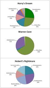 Pie Chart Showing The Percentage Of The Major Phyla