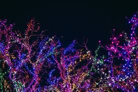 Maybe you would like to learn more about one of these? 100 000 Best Christmas Lights Photos 100 Free Download Pexels Stock Photos
