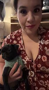 Our rescue picnic 14 yrs ago, Ah, the nuptials we have all been waiting  for. Buddy the ruffian weds sweet Muffy from France (Cleo is her stand-in  bride, as Muffy could not