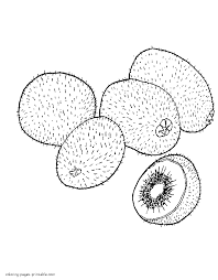 Kiwi is known as the largest producer of vitamin c compared to other fruits. Fruits Coloring Pages For Preschoolers Kiwi Coloring Pages Printable Com