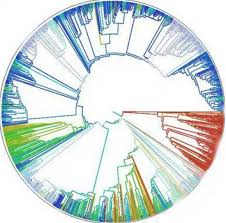 This Chart Shows The Circle Of Life With Every Known Species