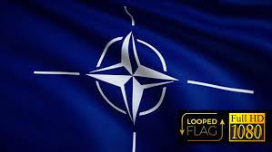 The north atlantic treaty organization (nato, / ˈ n eɪ t oʊ /; Nato Flagge Von Bourjart Auf Envato Elements