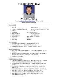 Itulah dua contoh biodata bahasa inggris lengkap untuk pelajar. Contoh Biodata Penulis Makalah