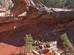 Reservations can be made by visiting recreation.gov. Damifino Trail Az Hikearizona