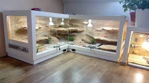 Pin By Ino Humblet On Wild Vivariums Reptile Terrarium Snake Terrarium Bearded Dragon Vivarium