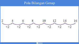 Untuk membuatnya, anda bisa menggambar trapesium terbalik sebagai dada, dan dua garis vertikal sebagai garis perut. Pola Bilangan Matematika Materi Rumus Contoh Soal Pembahasan