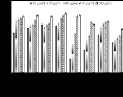Image result for Flabellaria paniculata