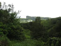 pin on tropical forests of karnataka