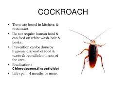 It is a very competitive business. Pest Control