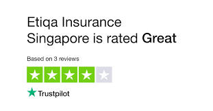 Etiqa is a licensed life and general insurance company in singapore, providing general insurance solutions for more than 55 years. Etiqa Travel Insurance Singapore