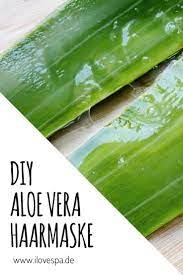 5 rezepte für trockenes oder strapaziertes haar. Diy Aloe Vera Haarmaske Haar Maske Aus Frischer Aloe Vera Selber Machen Haarmaske Aloe Vera Haar Maske Haarmaske Selber Machen