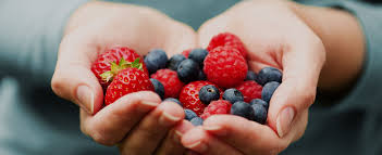 French Fruit Producer Frozen Fruit And Fruit Puree Supplier Sicoly Frozen Fruit Fruit Puree Fruit