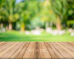 Wooden Board Empty Table Blurred Trees In Forest Background Forest Background Backgrounds Free Background Pictures