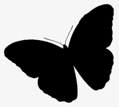 All the images are 300dpi and approximately 10 inches at their widest point. Butterfly Silhouette Png Images Transparent Butterfly Silhouette Image Download Pngitem
