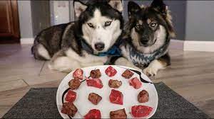 Raw Or Cooked Beef What Does A Husky Like To Eat Youtube