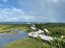 South padre island, a sandy barrier island, is texas' southernmost coastal community. South Padre Island Birding Nature Alligator Sanctuary Home Facebook