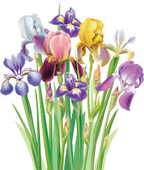 The cuffs have pockets for the weights which are adjustable in 1/2, 1 and 2 pound increments. Tuesday Blessings And Prayers Images Draw Pewpew