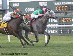 pin on horse racing continued