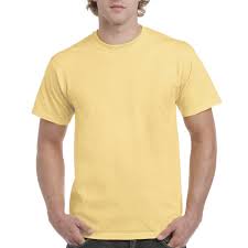 Download Men S Classic Short Sleeve T Shirt Gildan