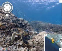 It suits people with beginner or intermediate knowledge of html and css, and a little knowledge of javascript. Google Maps Add Underwater Street View For Coral Reefs Great Barrier Reef Google Underwater Google Street View