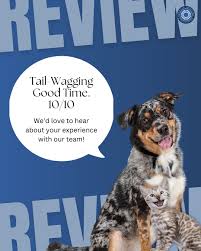 Veterinary Orthopedic and Vision Center