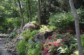 Best Garden Plants Swimming Pool Landscaping Design Nj Shade Garden Shade Landscaping Woodland Garden
