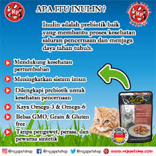 Leonardo banyak menghasilkan karya seni dan berbagai design yang menakjubkan sebelum meninggal pada 2 mei 1519. Mengenal Inulin Prebiotik Baik Untuk Kucing Raja Petshop