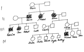 solved part 2 constructing valeries family pedigree one