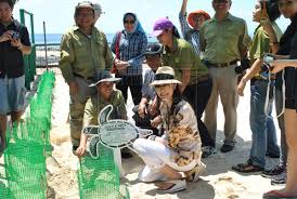 It has been created for the primary purpose of marine turtle conservation. Protect Environment And Preserve Nature Says Yeoh Borneo Post Online