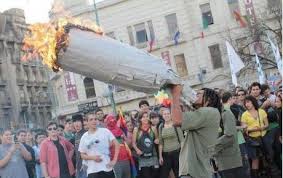 Weed Pics 