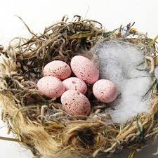 Small White Bird Eggs With Brown Spots Your Place To Buy And Sell All Things Handmade Bird Eggs Pink Bird Pink