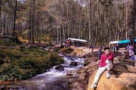 Wisata Alam Terbaru Batu Lempar Gunung Godog Garut Alam Pegunungan Hutan