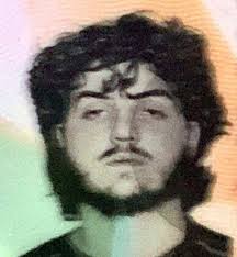 Harrowing video shows the moment an NYPD cop is stabbed in the neck