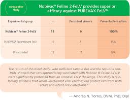 Nobivac Feline 2 Felv Merck Animal Health