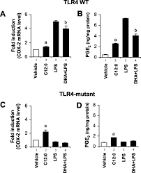 He lost in the republican primary on april 28, 2020. Saturated Fatty Acid Activates But Polyunsaturated Fatty Acid Inhibits Toll Like Receptor 2 Dimerized With Toll Like Receptor 6 Or 1 Journal Of Biological Chemistry