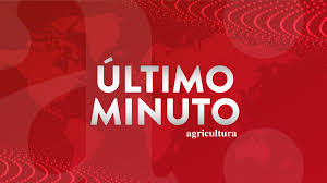 Comunas que entraron en cuarentena este martes. Plan Paso A Paso 24 Comunas De La Region Metropolitana Salen De Cuarentena Total