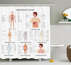 ambesonne human anatomy shower curtain complete chart of different organ body structures cell life medical illustration fabric bathroom decor set