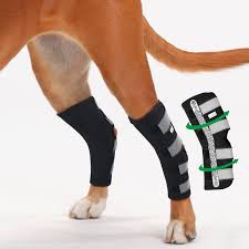 But your stiff ankles might be the achilles heel of your workouts. Amazon Com In Hand Dog Rear Leg Hock Brace Pair Of Canine Dog Leg Joint Wraps Compression Brace Protects Wounds Heals And Prevents Injuries And Sprains Helps With Loss Of Stability Caused