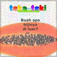Buah Apa Bijinya Di Luar Kecekhati Buah Teka Teki