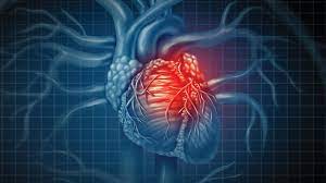 What Do You Know About Congenital Heart Defects And Later Life Illness