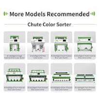 Digital ZRWS Brand Rice Seeds Color Sorting Machine/Long Grain Parboiled  Rice Color Sorter