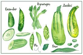 Maybe you would like to learn more about one of these? Vegetables Big Watercolor Set By Ma I Vi Thehungryjpeg Com