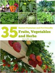 Some seeds take longer than others to germinate, and if your growing season is short, you'll want to sow them indoors to get a head start on the season. The 35 Easiest Container And Pot Friendly Fruits Vegetables And Herbs Diy Crafts