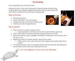 This should be placed above the basking dock (turtles will get sick without this) this isn't the best picture but i don't know how else to add a photo. Dry Docking Your Red Ear Slider Turtle Setup Aquatic Turtles Red Eared Slider