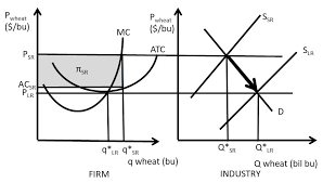 When a firm can do something that rival firms cannot do, or owns operational effectiveness vs. Chapter 5 Monopolistic Competition And Oligopoly The Economics Of Food And Agricultural Markets